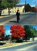 Old Family Picture Book 019.jpg